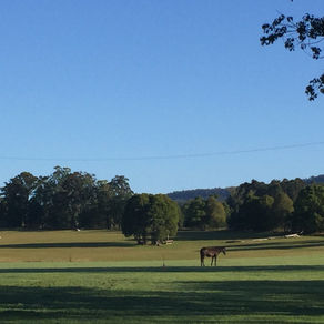Nana Glen NSW vol37
