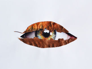 EL PAISAJE A TRAVÉS DE MIS OJOS