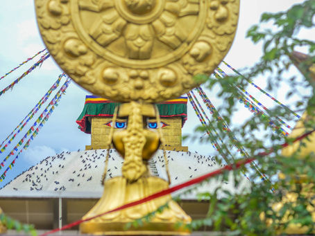 2 5 6 4 TH Teacher BUDDHA Birthday !!!