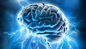 https://yec-focus-nootropic.yolasite.com/ content media