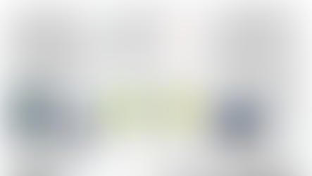 Sustainability Undergraduate Research Experience: Lithium Mining in Chile