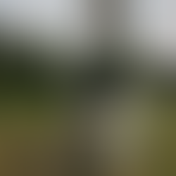 July Meeting: Mel's Observatory Update