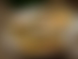  แซนด์วิชไก่กรอบสไตล์ญี่ปุ่น