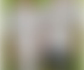 Majestic Mort provides tonic for Mossley Misery