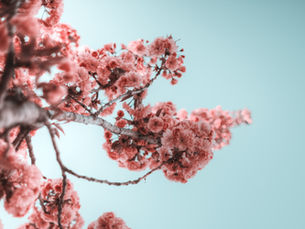 Thoughts on relational therapy...