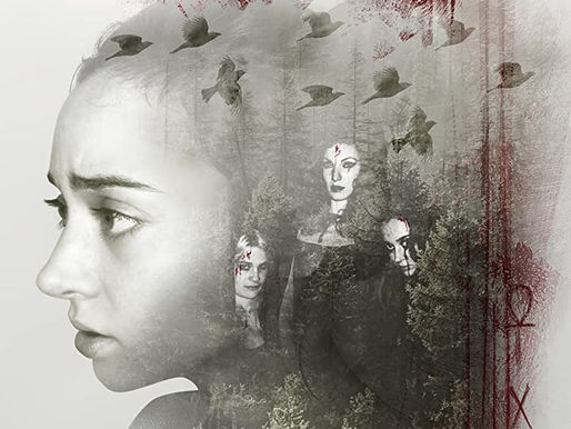 Blood Falls indie film review