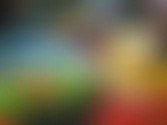 传播中国文化 感受春的喜悦