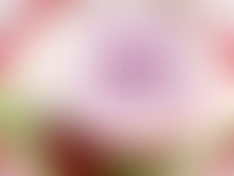 ขนมบัวลอยมันม่วงญี่ปุ่นกะทิสด