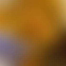 The Second Sunday in Easter