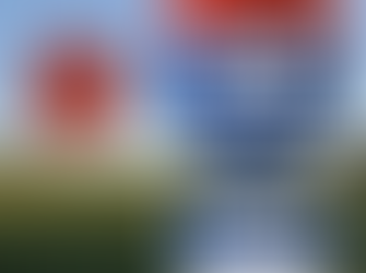 Žijeme v bodu obratu!?
Část 2. Mechanistické paradigma