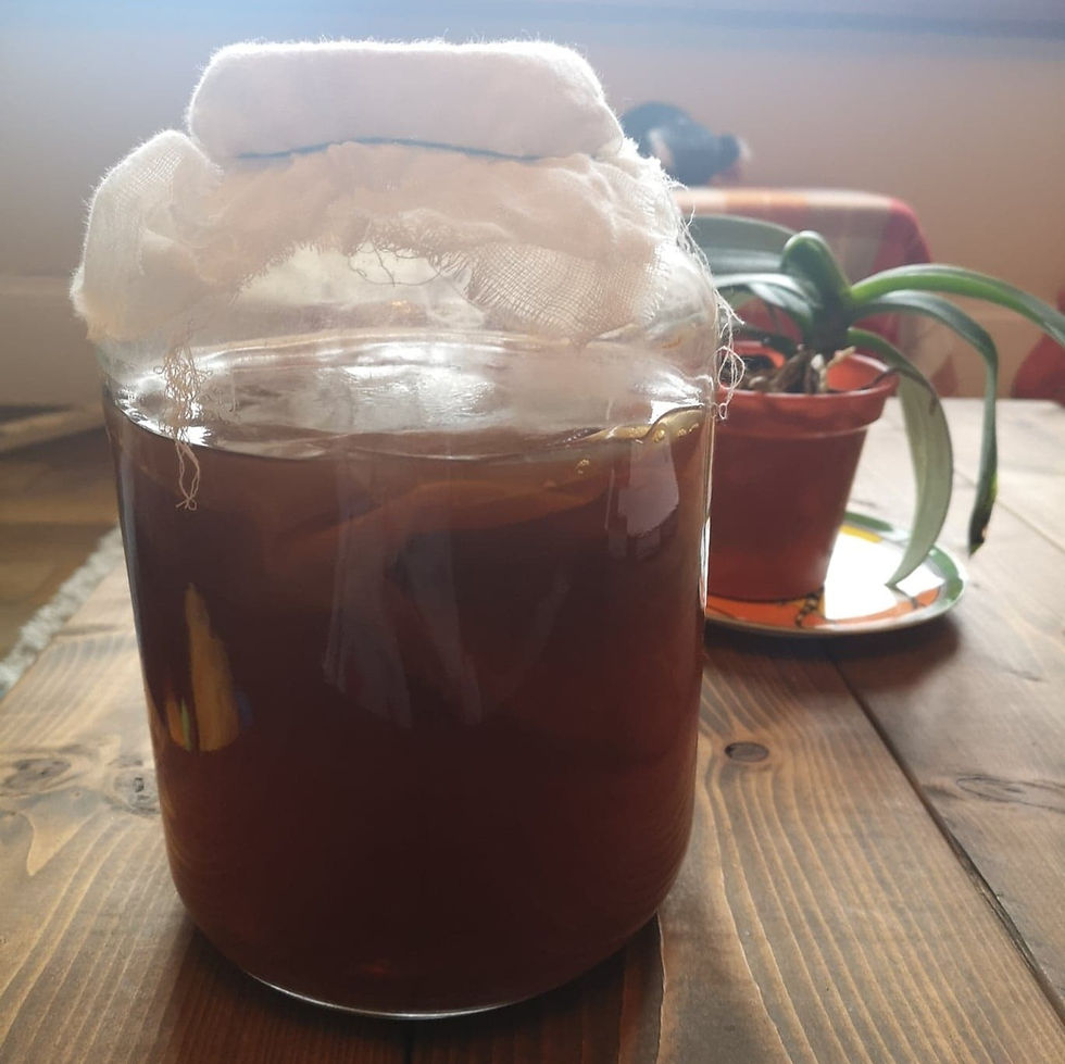 Komboucha fermented tea drink with SCOBY (symbiotic culture of bacteria and yeasts)