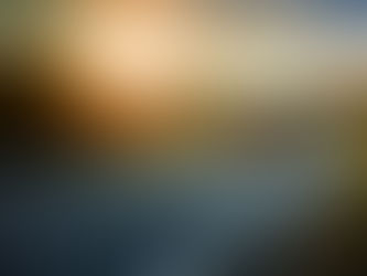 南島這個地區歡迎移民