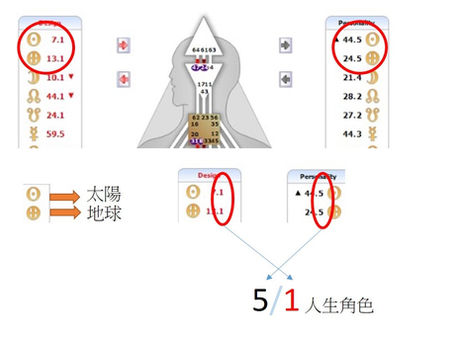 【人生角色 Profile 概論】