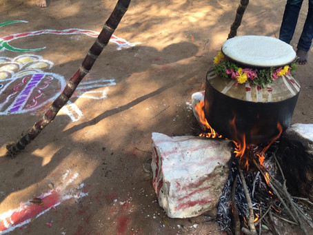 Dayspring Pongal Celebrations