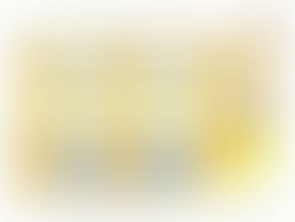 11월 수련 안내!
