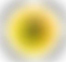 SELVET OG IKKE-DUALITETSVISJONEN
