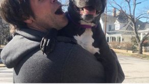 Dogs Like Joel and you will, too! 