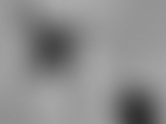 flexibility and intuition