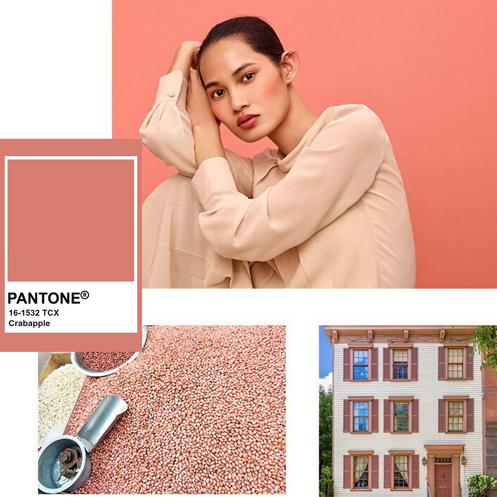 Blog assunto nao falta sobre as cores do outono-inverno 2020