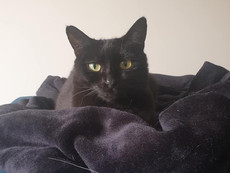 SABRINA