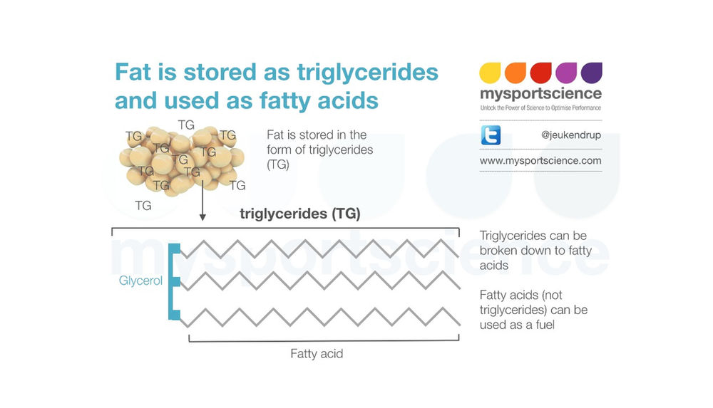 Fat burning how does it work?