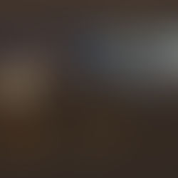 "Grab the Torch": Apartment Shows after Soul Station