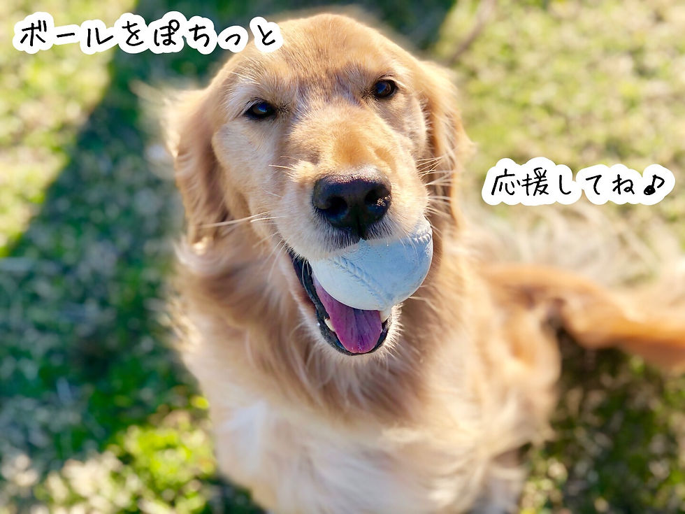 ree