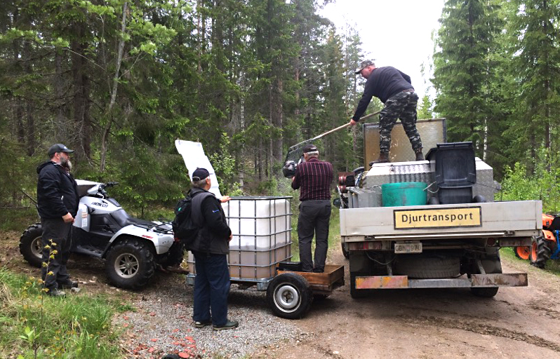 Fiskisättning i Bråttjärn 190527 content media