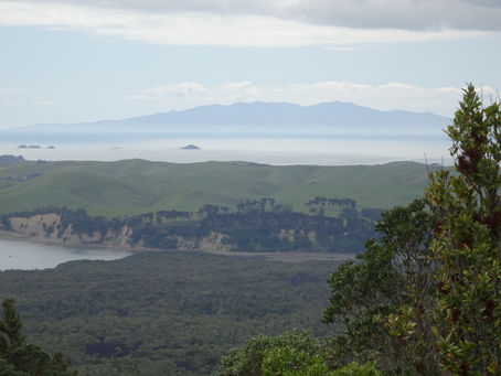 Rangitoto hike outside Auckland