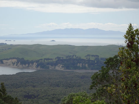 Rangitoto hike outside Auckland