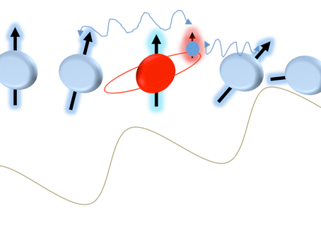 ¿Y que pasa sin la polarización?