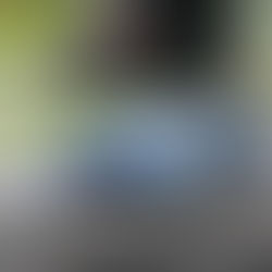 British GT - Brands Hatch Round-up