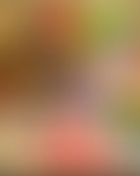 WANTING TO MELT AWAY SOMEWHERE WARM?BE SURE TO PACK SOME SISTERLY SECRETS!THE PERFECT READ!