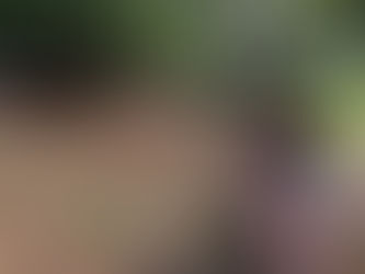 Put Your Whole Self In