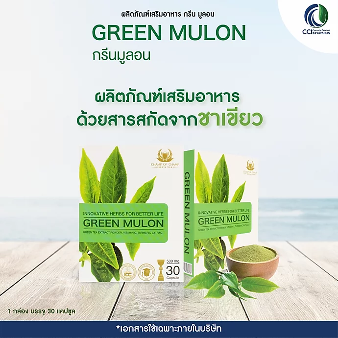 กรีนมูล่อน Green mulon รักษาลมพิษเรื้อรัง ลมพิษผื่นคัน โรคหอบหืด แพ้อากาศ แพ้ฝุ่น แพ้ไรฝุ่น ภูมิแพ้เรื้อรัง