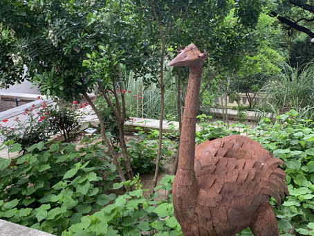 Around Austin-San Jacinto Center-Garden Sculpture