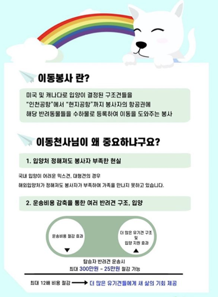 강아지 한국-->미국 입양 이동 봉사 하실분 찾습니다 content media