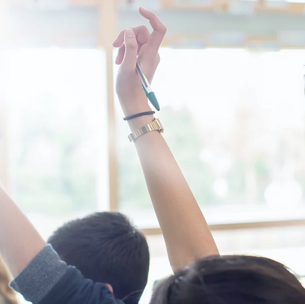 What do teachers and students say about DPR?