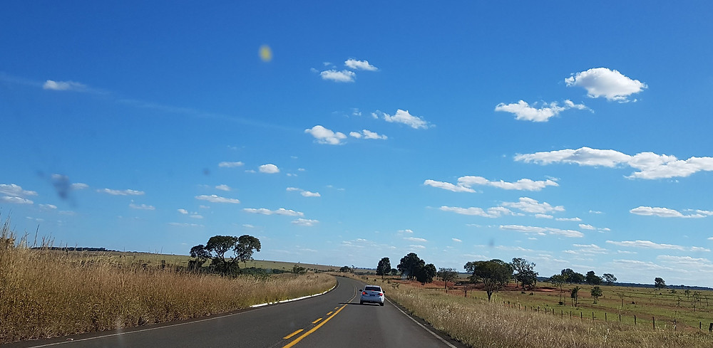 Foto da estrada em viagem de Campo Grande/MS até Olímpia/SP. O post conta qual trajeto feito e a experiência de se hospedar no Celebration Resort.