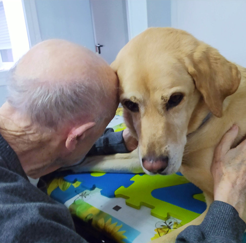 Terapia Asistida con Perros en Personas de la Tercera Edad Terapia Asistida con Perros en Personas de la Tercera Edad