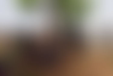 1M People Have Been Internally Displaced By The Upsurge In Violence In Burkina Faso IOM Reports