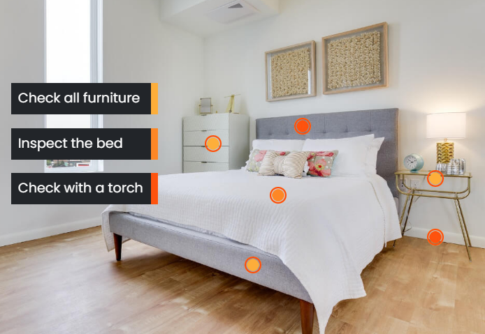 Extreme Bed Bug Control - Bed Bug Heat Treatment content media