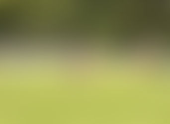 Disputa pela 20ª taça começa neste domingo