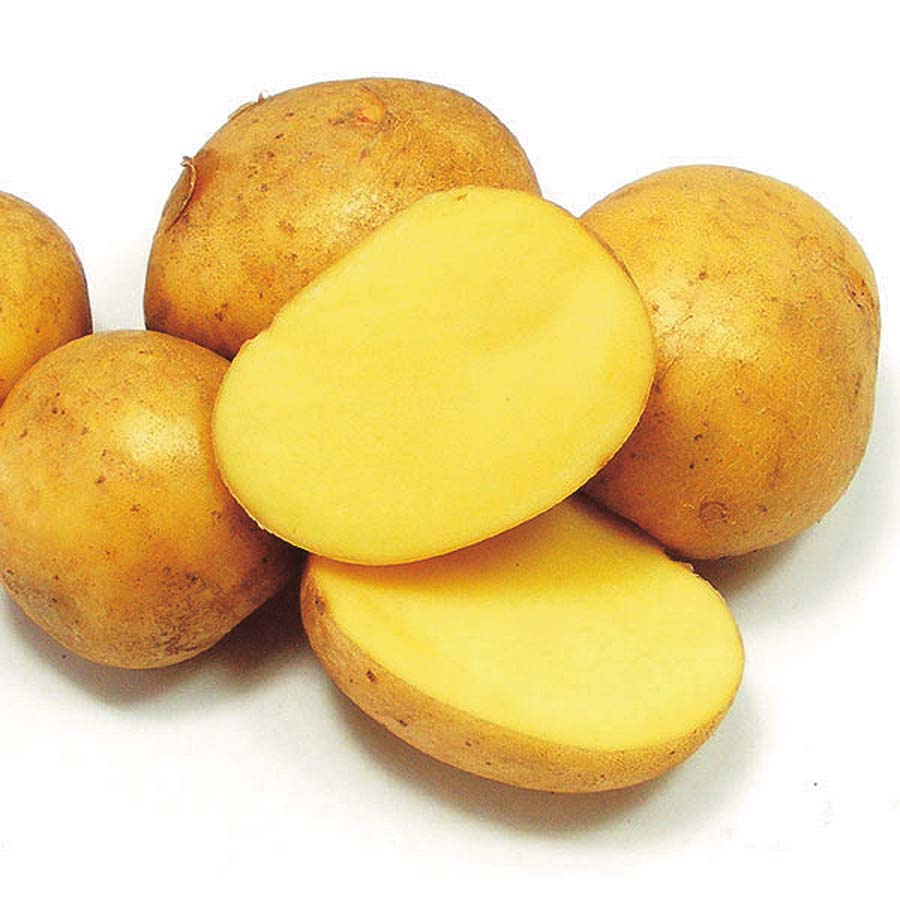 Seed Potatoes - organically certified content media