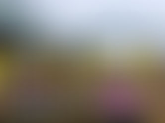 新疆各地集中销毁假冒伪劣产品