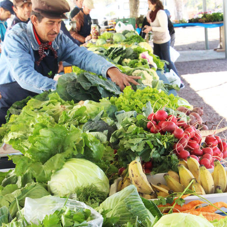 Feira de alimentos saudáveis atende em novo horário