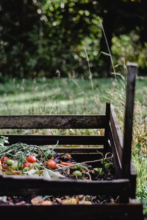 7 Easy Steps To Compost content media