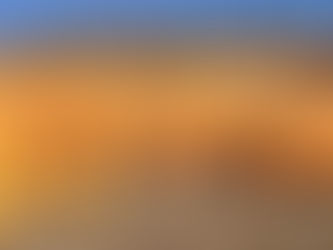 Pumpkin Patch on the Farm