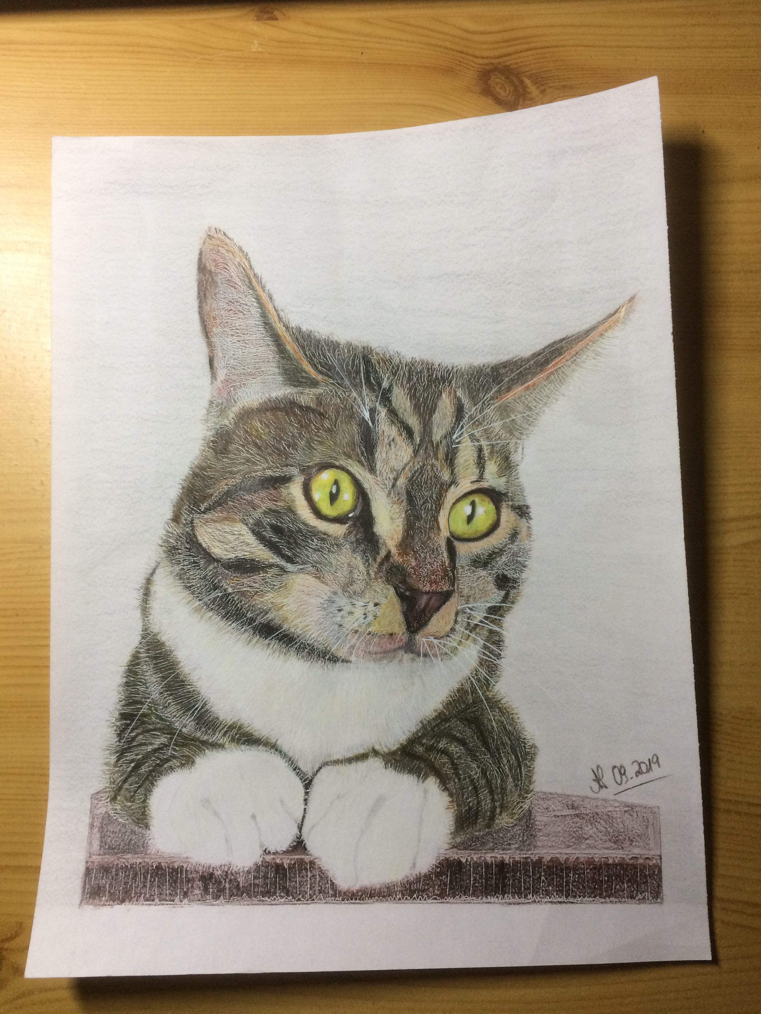 Katzenjammer.... content media