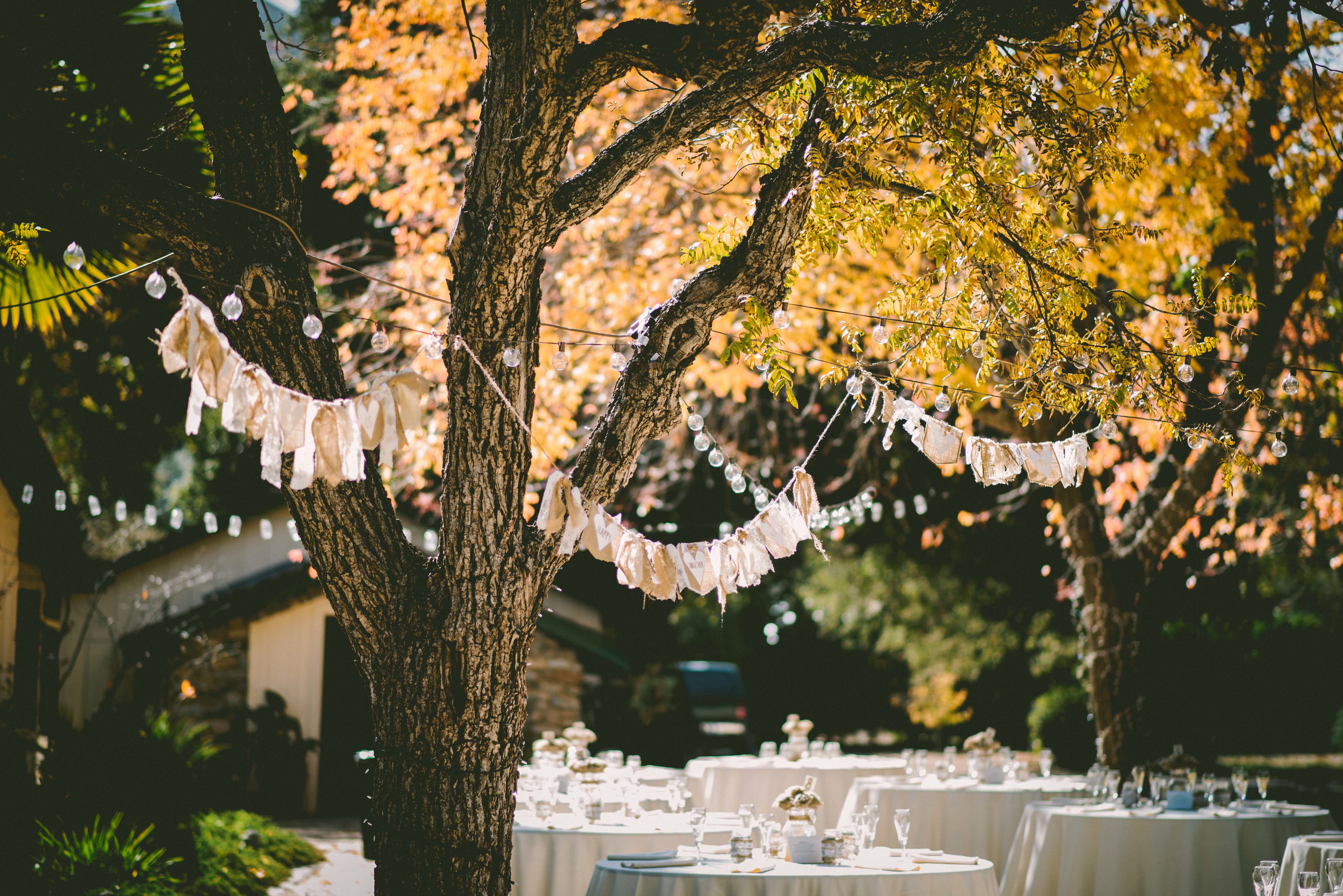 What's the best backup plan for an outdoor wedding? content media